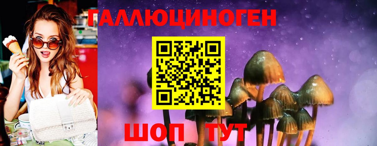 Псилоцибиновые грибы MAGIC MUSHROOMS  Жигулёвск  купить наркоту  Псилоцибиновые грибы ЛСД 