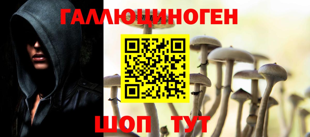 где можно купить наркотик  Вход с VPN  Жигулёвск  Псилоцибиновые грибы мицелий 